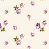 The Balconette: English Rose Pointelle